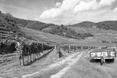 Italy - Val di Mello - “LA DOLCE VITA”  Among Wine Tasting Wellness Centre and Outdoor Experiences - 2