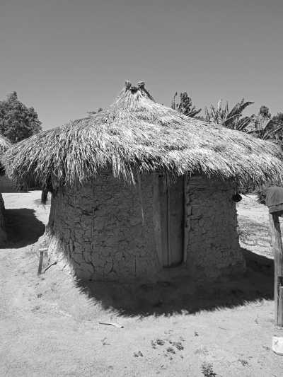 Colombia - Pueblo Bello - Colombia Guided Trip: Nabusimake,  Sierra Nevada de Santa Marta Trekking in a Coffe Finca of a Mamo Elois - 4