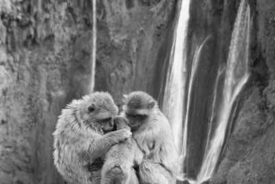 Morocco - Exploring Marrakesh, Morocco: Nature, Culture and Handcrafts - JoinMyTrip