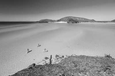 Mexico - Isla Espiritu Santo - Baja California Mexico: 8 Day Whale & Whale Shark Safari + Glamping - 8