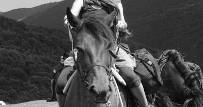 Rumänien - Meschenderf - With Horses Through Romania - Reit-Abenteuer auf Pferden durch Rumänien - 1