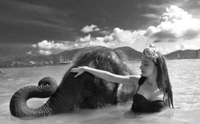 Thailand - Bathing with Elephants - Swimming with Elephants and Snorkeling in Phuket, Thailand: Island Paradise, Majestic Elephants, Spectacular Snorkeling, and Local Cuisine - 4