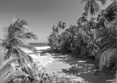 Costa Rica - Work and Live in Costa Rica's Wonderful South Caribbean Side! - JoinMyTrip