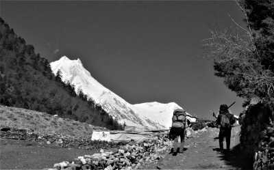 Nepal - Lho - Manaslu Circuit Trek - With Subash Gurung