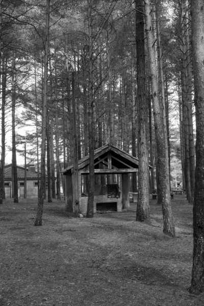 Portugal - Ribeira de Pena - Explore the hidden wonders of the north of Portugal with a local - 15