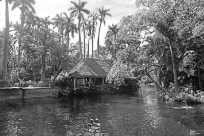 Mexico - Estacas - Discover Mexico with a local... Chapter :  Corona Capital Festival, Tequila Tasting, and Surfing Bliss 🏄‍♂️🍹 - 4