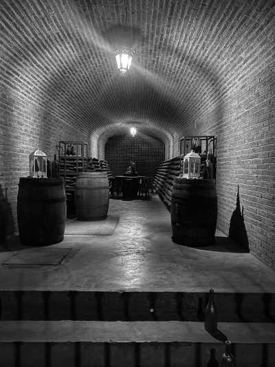 Mexico - Tequisquiapan - A Gastronomic  Journey Through the State of Queretaro in Central Mexico - 4