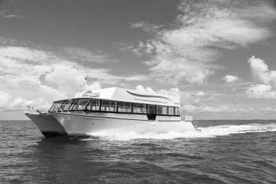 Belize - San Pedro Belize Express Water Taxi - Experience Belize Like a Local: Authentic Travel Adventures Await - 8