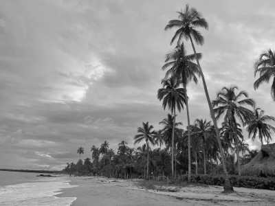 Colombia - Palomino - 🌴 Enjoy Jungle stay with surfing lesson, salsa dancing and much more! 💃🏽🇨🇴 - 2