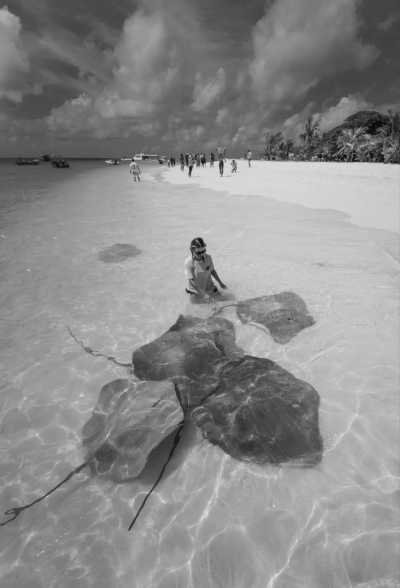 Maldives - Maafushi - Maldives mania: Epic Fun, Party Boats and Snorkel Adventure🏝️