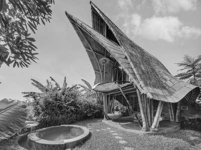 Indonesia - Bali - 𝗔𝗻𝘀𝘄𝗲𝗿 𝗕𝗮𝗹𝗶'𝘀 𝗖𝗮𝗹𝗹: 𝗬𝗼𝘂𝗿 𝗧𝗶𝗰𝗸𝗲𝘁 𝘁𝗼 𝘁𝗵𝗲 𝗘𝘅𝗼𝘁𝗶𝗰 𝗛𝗲𝗮𝗿𝘁 𝗼𝗳 𝗜𝗻𝗱𝗼𝗻𝗲𝘀𝗶𝗮! 🇮🇩🦜🎒 - 5