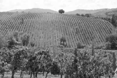 Italy - Greve in Chianti - A Long Weekend in Tuscany: crazy panoramas, fine Italian wine and beautiful ancient Villages! - 3