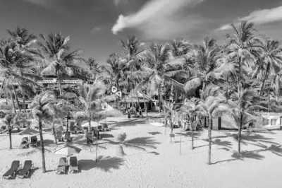 Dominikanische Republik - Cabarete - LOVEBIRDS: Liebesversprechen in traumhafter karibischer Kulisse erneuern ... Confess or renew your promise of love - 5