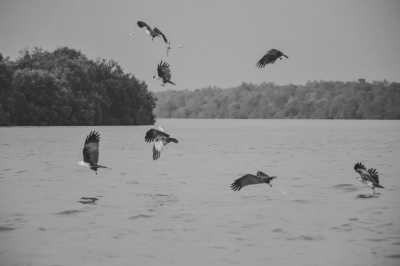 Malaysia - Kuala Selangor - Awesome Co-Working Trip in Kuala Lumpur, Malaysia with a local and travel photographer - 7