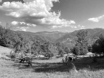 Romania - Crinț - Outdoor Adventure in Romania with Horses - 1