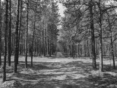 Northern Europe - Nationalpark Ķemeri - Discover the Baltic States: Tallinn, Riga, Vilnius and Much More! - 4