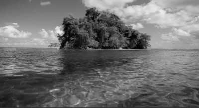 Jamaika - Pellew Island aka Monkey Island - Discover Jamaica -  Beaches, Good Vibes, visit Rick's café, famous Pelican Bar & more - ALL INCLUSIVE - 1