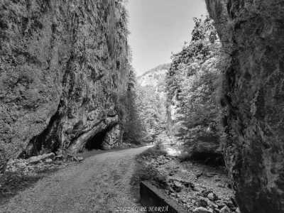 Rumänien - Cabana Curmătura - Workation and Hikes in Transylvania, Romania - 1
