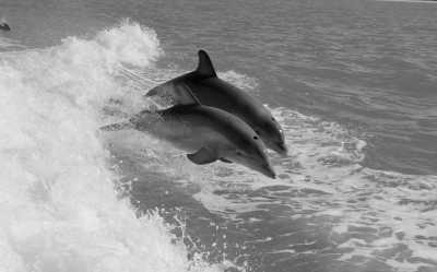Australia - Swansea - 🐋 Winter Waves & Creative Days: A Co-Working Escape to Newcastle, Australia 🇦🇺 (PRIVATE ROOM) - 7