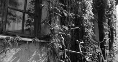 Europe - Boritz - Fahrradtour - Elbe Radweg von Prag nach Hamburg