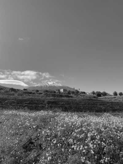 Spanien - San Juan de la Rambla - Island Yoga Retreat in Tenerife 🌴🧘🏼‍♂️ Four Days To Disconnect : With Feel Good Yoga Flows, Hikes and Traditional/Local Food 🥘 - 4