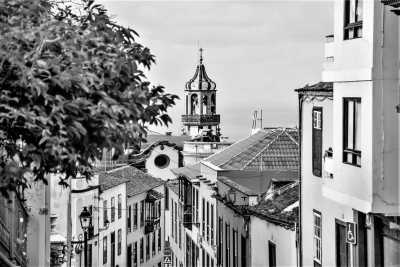 Spain - Mount Teide - 🌋TENERIFE PARADISE 🏝️ Come Explore the Best Spots of the Island! - 3