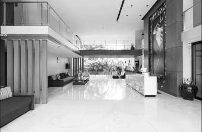 Thailand - Phuket - Swimming with Elephants and Snorkeling in Phuket, Thailand: Island Paradise, Majestic Elephants, Spectacular Snorkeling, and Local Cuisine - 19