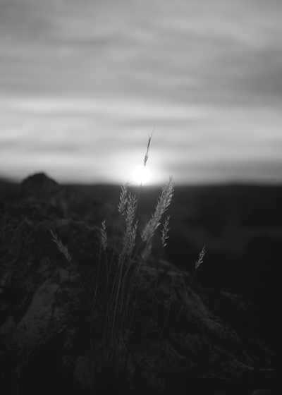 Nepal - Dharamsala - Manaslu Circuit Trek in Nepal