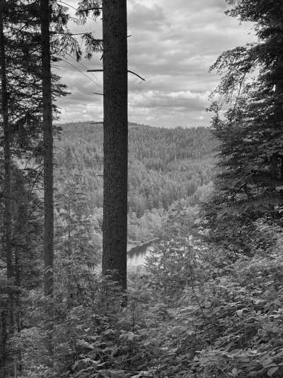 Deutschland - Camp Bösellbach - Travel Through the Black Forest, Germany - 5