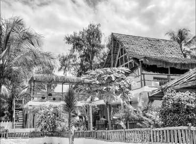 Tansania - Villa Nakupenda - Holiday with the kids in Zanzibar! Beach 🏝️ Snorkelling 🤿 and Forest Tour! 🌳 - 1