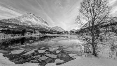 Norwegen - Tromsø - Norway Tromso - Northern Lights Photo Tour 📷