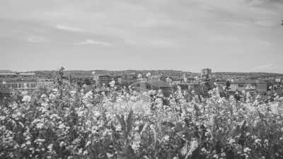 Serbia - Svrljig - Food and Jazz Festivals in Niš, Serbia