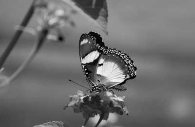 Philippinen - Puerto Princesa - Palawan Paradise Exploration: From El Nido to Balabac, Philippines - White Beaches to Cultural Delights! - 5