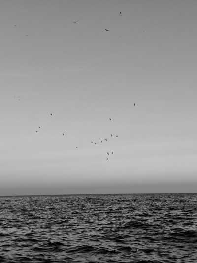 Montenegro - Budva - Weekend Trip In Montenegro-Freediving, Boat trip, BBQ, Hidden Gems - 1