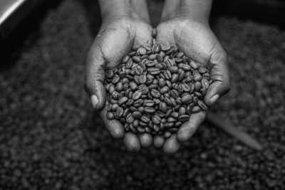 Tansania - Kilimanjaro International Airport - Tanzania Safari Trip - Serengeti Wildbeest migration 🇹🇿 with a Local - 6