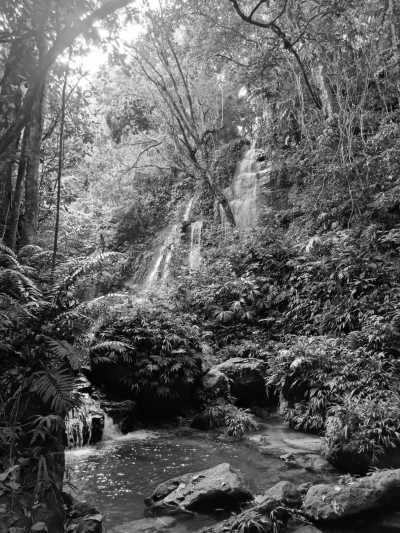 Kolumbien - Finca Summerland - Discover the Colombian Heart: Language, Food, Culture and Fun - 6