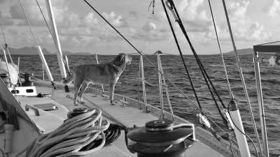 Karibik - Sint Eustatius - Explore the Caribbean: Unforgettable Sailing Adventures! - 3