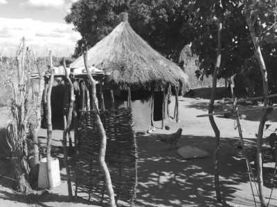 Eastern Africa - Livingstone - Lets Tour Africa! 3 Countries in 8 days Zambia, Botswana and Zimbabwe ✈️🌞 Jobs fill your pocket, adventures fill your soul 😊❤️ - 3