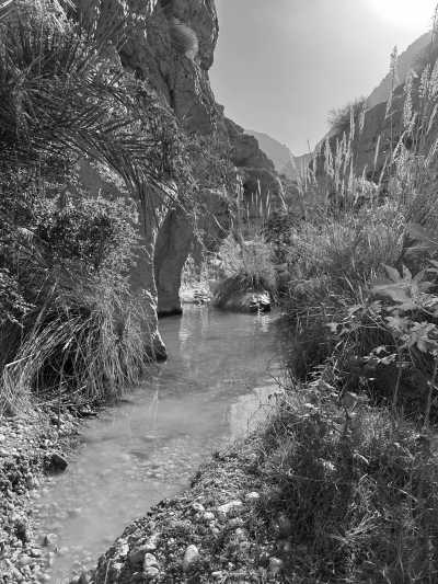 Oman - Wadi Ash Shab - Oman 4x4 Road Trip: Explore Off-Road Adventures and Scenic Landscapes - 1