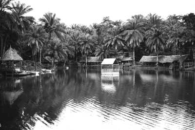 Tanzania - Pugu Hills Nature Forest - One week Tanzania: culture, nature and beach adventure - Dar es Salaam, Bagamoyo, Mbudya island and Bongoyo island - 1