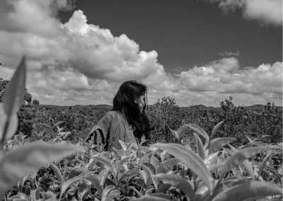 India - Vagamon - Exploring the Enchanting Hills of Kerala, India: Unveiling Natural Beauty and Cultural Delights - 1