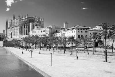 Spanien - Spring break in Mallorca! 🏖️✈️ - JoinMyTrip