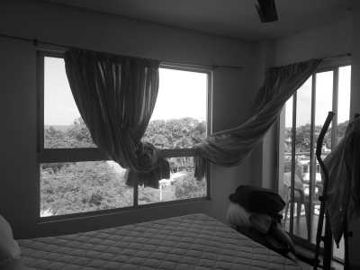 Colombia - Coveñas - Experience the Paradise of Colombia's Caribbean Coast on a Remarkable 30-Day Working Trip: Tolú, Playa El Francés, Coveñas, Isla Palma, Ciénaga la Caimanera and Cistapá Cay - 13