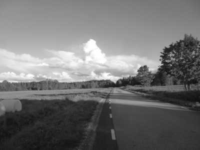 Estland - Nationalpark Lahemaa - Erlebe das größte Sängerfest der Welt - Laulupidu 2025 in Tallinn, Estland - 3