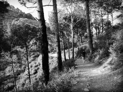 Pakistan - Pir Sohawa - Explore Islamabad, the Capital of Pakistan 🍃 Nature, Culture, Sightseeing, Food and more! - 4