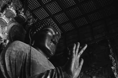 Japan - Nara - Spirit of Japan (Reverse Route) - 1