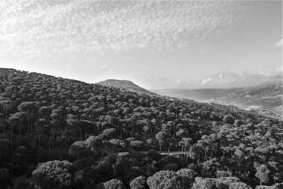 Libanon - Deria - Discover Lebanon's Coastline from Beirut to Batroun - 1