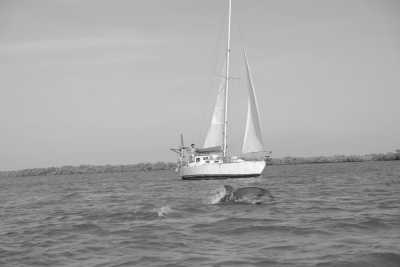 Senegal - Sailing Adventure in the Casamance of Senegal - JoinMyTrip