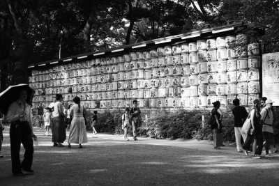 Japan - Meiji Jingu - Blossoms & Cities: Japan’s Spring Adventure 2025