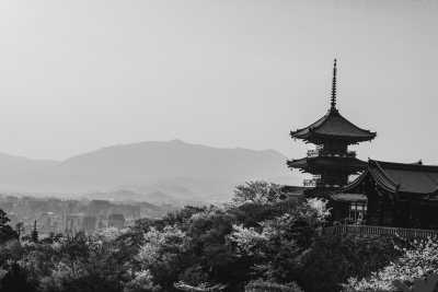 Japan - Kyoto - Spring in Japan:  2 wks Adventure for Cherry Blossom Seekers - 2